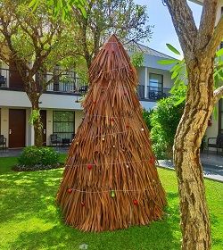 Eco Friendly Christmas Tree